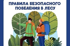 В лес – с умом: как не заблудиться и что делать, если это случилось